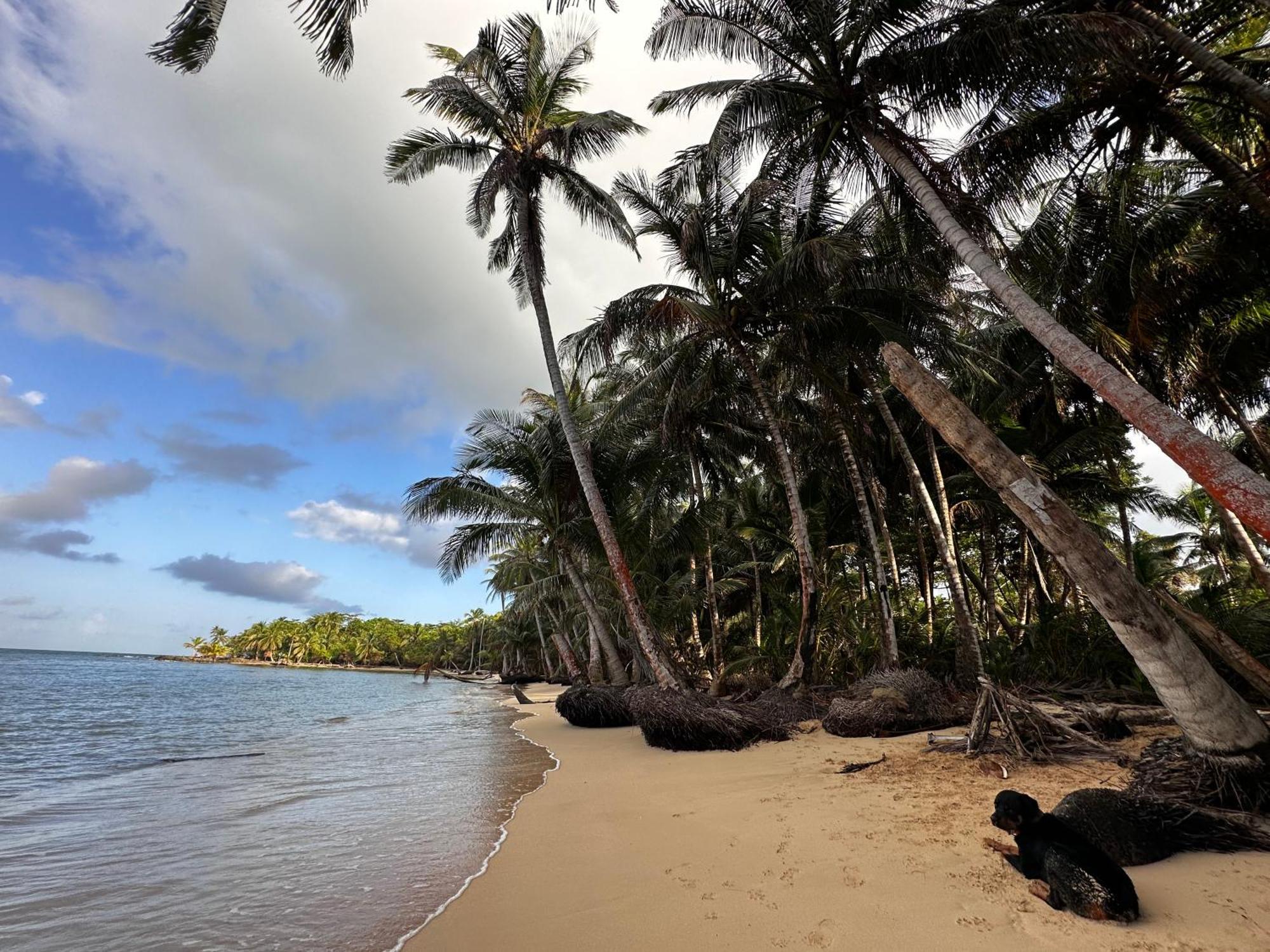 Ensuenos Natural Reserve Little Corn Island Nicaragua Екстериор снимка